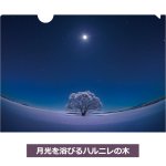 画像3: KAGAYAクリアファイル4柄セット (3)