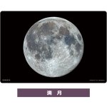 画像8: KAGAYAクリア栞4柄セット (8)