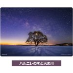 画像5: KAGAYAクリア栞4柄セット (5)