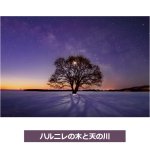 画像5: KAGAYAポストカード5柄＆スタンドフレームセット (5)