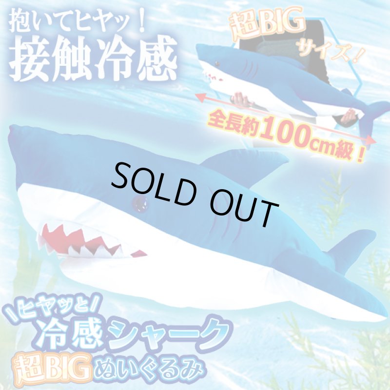 画像4: ヒヤッと接触冷感！超BIGシャークぬいぐるみ (4)