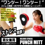 画像2: 送料無料！ボクササイズ階級チャンピオン！クッション内蔵パンチミット (2)