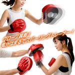 画像4: 送料無料！ボクササイズ階級チャンピオン！クッション内蔵パンチミット (4)