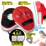 画像3: 送料無料！ボクササイズ階級チャンピオン！クッション内蔵パンチミット (3)