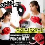 画像5: 送料無料！ボクササイズ階級チャンピオン！クッション内蔵パンチミット (5)