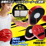 画像3: 送料無料！ボクササイズ階級チャンピオン！クッション内蔵パンチグローブ＆パンチミットセット (3)