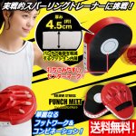 画像1: 送料無料！ボクササイズ階級チャンピオン！クッション内蔵パンチミット (1)