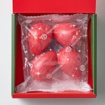 画像9: 機能性表示食品モナカ「モナ閣下」4個入ｘ2箱組 (9)