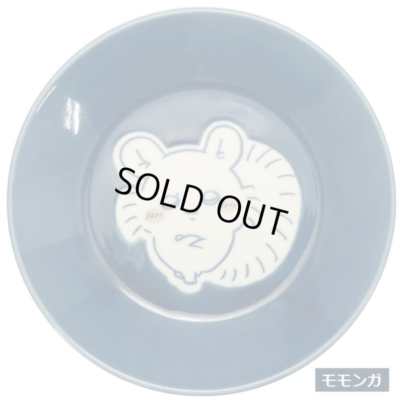 画像8: ちいかわ カラーズ13.5cmプレート4種セット (8)