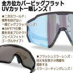 画像2: DIRECTディレクト ゴーグルサングラスMOUNTAIN ポラライズドレンズ (2)