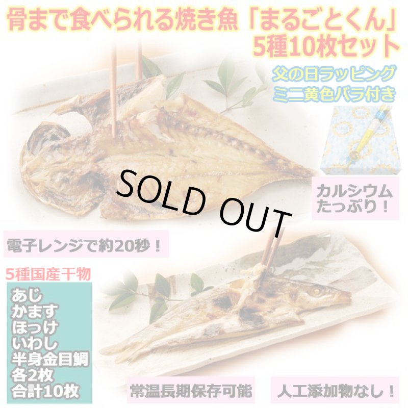 画像1: 父の日ラッピング 骨まで食べれる焼き魚「まるごとくん」5種10枚セット ミニ黄色いバラ付き (1)