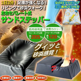 美品　サンドウォーク　ステッパー 70726f647563742f32303235303630