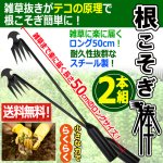 画像1: 送料無料！釘抜きのようにラクラク抜けるロング50cm！雑草根こそぎ棒2本組 (1)