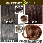 画像6: 地毛との馴染みが自然な人毛総手植え！つむじヘアピース レギュラー (6)