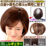 画像7: 地毛との馴染みが自然な人毛総手植え！つむじヘアピース レギュラー (7)