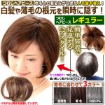 画像1: 地毛との馴染みが自然な人毛総手植え！つむじヘアピース レギュラー (1)