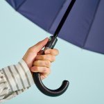 画像8: 晴雨兼用傘 超撥水耐風UVcut メンズ富山サンダー(R)20本骨  (8)