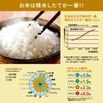 画像2: TWINBIRDツインバード コンパクト精米器 精米御膳 (2)
