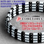 画像3: コンディショニングアクセサリー コアフォースループ シルバーグレー×ブラックスピネル70 (3)