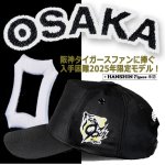 画像3: 阪神タイガース創設90周年記念 大阪タイガースCOOLMAXキャップ (3)