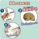 画像4: 触れる図鑑コレクション「本物の化石を発掘体験」 (4)