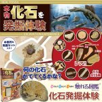 画像1: 触れる図鑑コレクション「本物の化石を発掘体験」 (1)