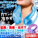 画像1: 送料無料！マイナス瞬間冷却！ネックアイシング氷のう (1)