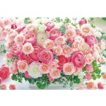 画像2: ジグソーフラワーシリーズ「ときめき花ひらくリージーピンク」フレームセット（1000マイクロP） (2)