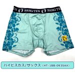 画像14: HANGTEN吸水速乾「スタンダードプリントボクサーパンツMサイズ2枚セット」2025モデル (14)