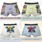 画像7: HANGTEN吸水速乾「スタンダードプリントボクサーパンツLLサイズ2枚セット」2025モデル (7)
