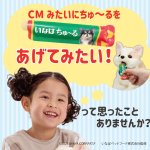 画像2: ちゅ~るあげるね！チワマルちゃん (2)