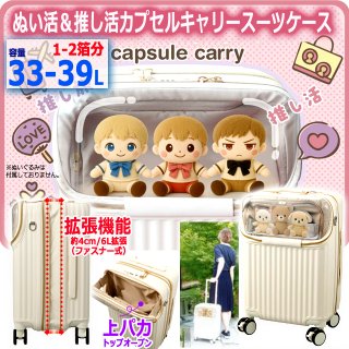 阪神タイガースキャリーケース(33L)AKR-16HT001