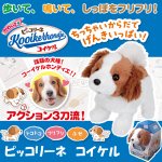 画像1: ピッコリーネ コイケル (1)