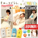 画像1: 送料無料！すみっコぐらし やわらかECO湯たんぽ (1)