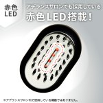 画像4: アデランス電気ブラシ スマスビート (4)