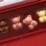 画像6: CACAO SAMPAKA カカオ サンパカ 6匹のこぐま 3種のチョコレート (6)