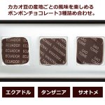 画像3: CACAO SAMPAKA カカオ サンパカ オリヘネス3個入 3種の原産地別チョコレート (3)