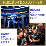 画像4: 世界限定2024アニバーサリーコレクション LAドジャース＆大谷翔平WS優勝記念サインボール＆フォト豪華額装コレクション (4)