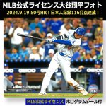 画像5: 世界限定2024アニバーサリーコレクション 大谷翔平の軌跡 シリアルナンバー刻印 (5)