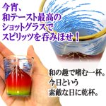 画像2: 送料無料！高品質ガラス製和柄ショットグラス3種セット (2)