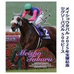 画像7: メイショウタバル 2025年宝塚記念ジグソーパズル 500ピース (7)