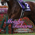 画像5: メイショウタバル 2025年宝塚記念ジグソーパズル 500ピース木製フレームセット (5)