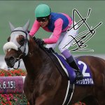 画像4: メイショウタバル 2025年宝塚記念ジグソーパズル 500ピース木製フレームセット (4)