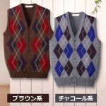 画像2: mij（エムアイジェイ）日本製ウール混アーガイル柄ベスト (2)