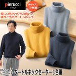 画像1: Pierucci（ピエルッチ）タートルネックセーター３色組 (1)