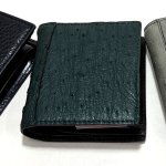 画像16: 送料無料！オーストリッチミニマム２つ折財布 (16)