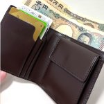 画像9: 送料無料！オーストリッチミニマム２つ折財布 (9)
