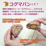 画像4: コグマパン4個セット (4)