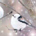 画像4: ジグソーアニマルシリーズ「春はまだかな？ シマエナガ」フレームセット（108P） (4)