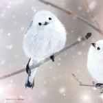 画像3: ジグソーアニマルシリーズ「春はまだかな？ シマエナガ」フレームセット（108P） (3)